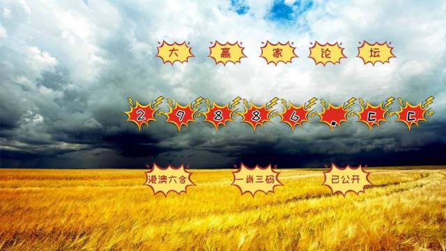 新澳门4949最新开奖记录,具象化表达解说_GER50.875共鸣版