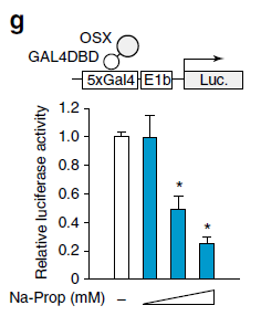新奥门特免费资料大全7456,精细化实施分析_FWD29.948机器版