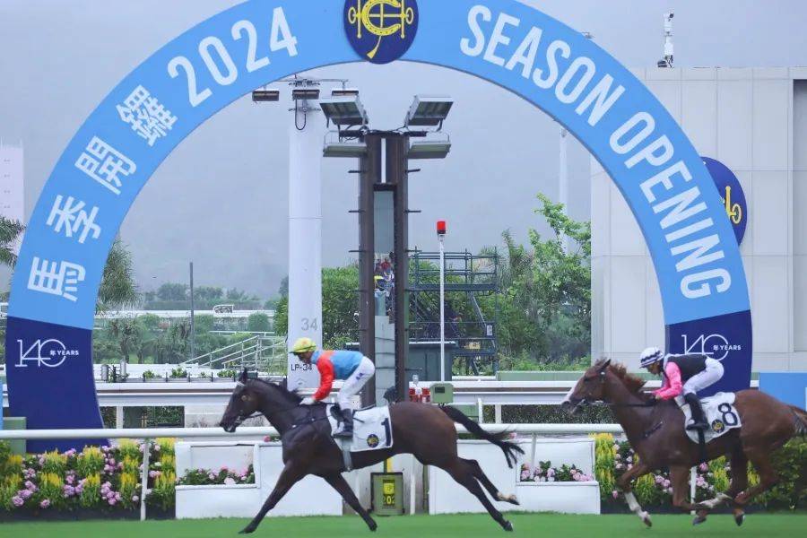 新奥门2024年正版马表,策略调整改进_UKE50.134悬浮版