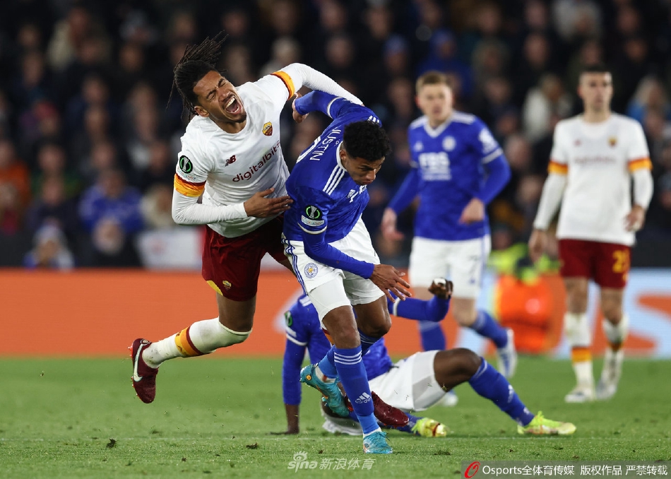 新澳资料大全2024年,动态解读分析_ECE50.209量身定制版