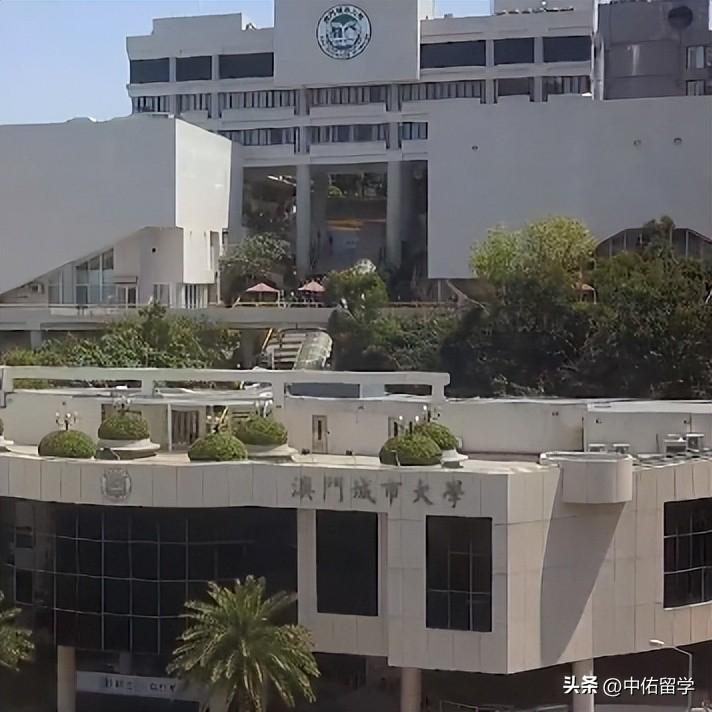 2024澳门今天晚上开什么生肖啊,完善实施计划_WYK29.105深度版