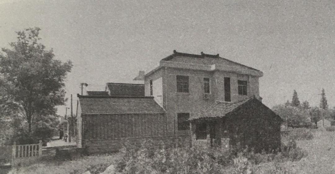 宅文化频道,宅家日常趣事与暖心友情的最新热点聚焦