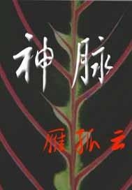 神脉无敌最新章节,日常趣事与友情纽带