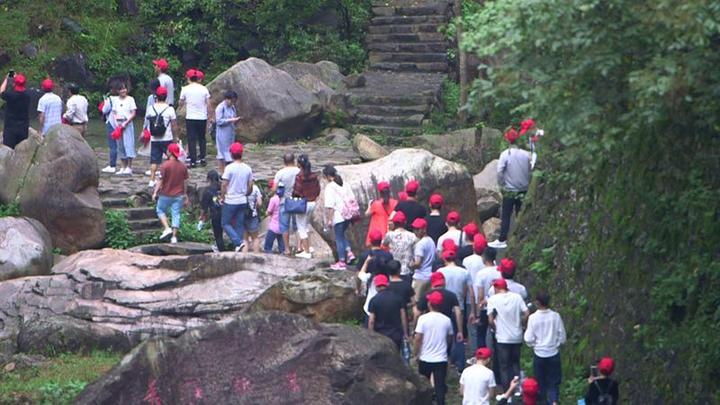 浙江天台最新新闻,学习变革力量,成就自信与梦想之路