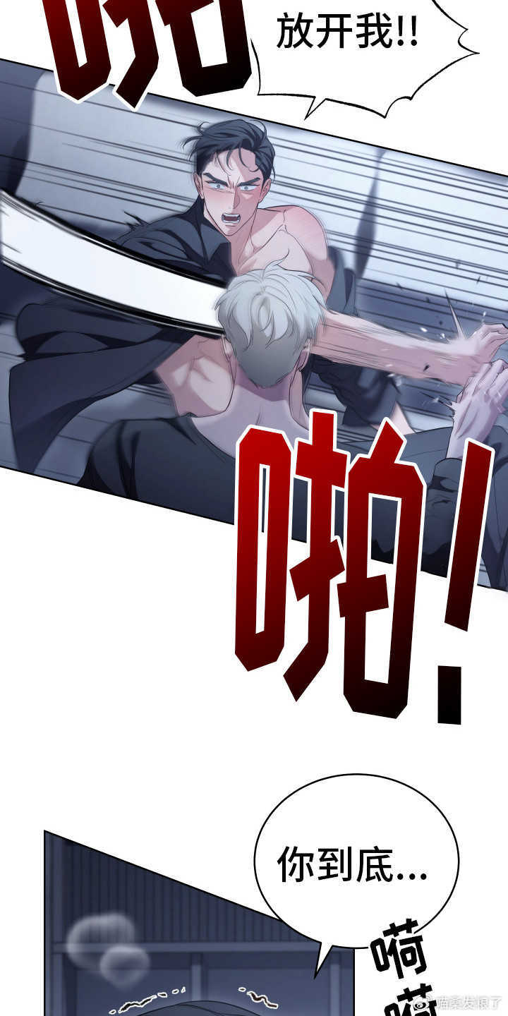 制霸被窝最新版,打造极致舒适睡眠环境指南