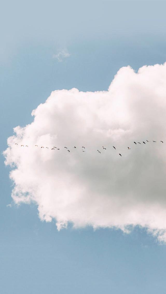 TikTok永久破解最新版的探讨,敏感话题需谨慎处理与违法犯罪问题解析