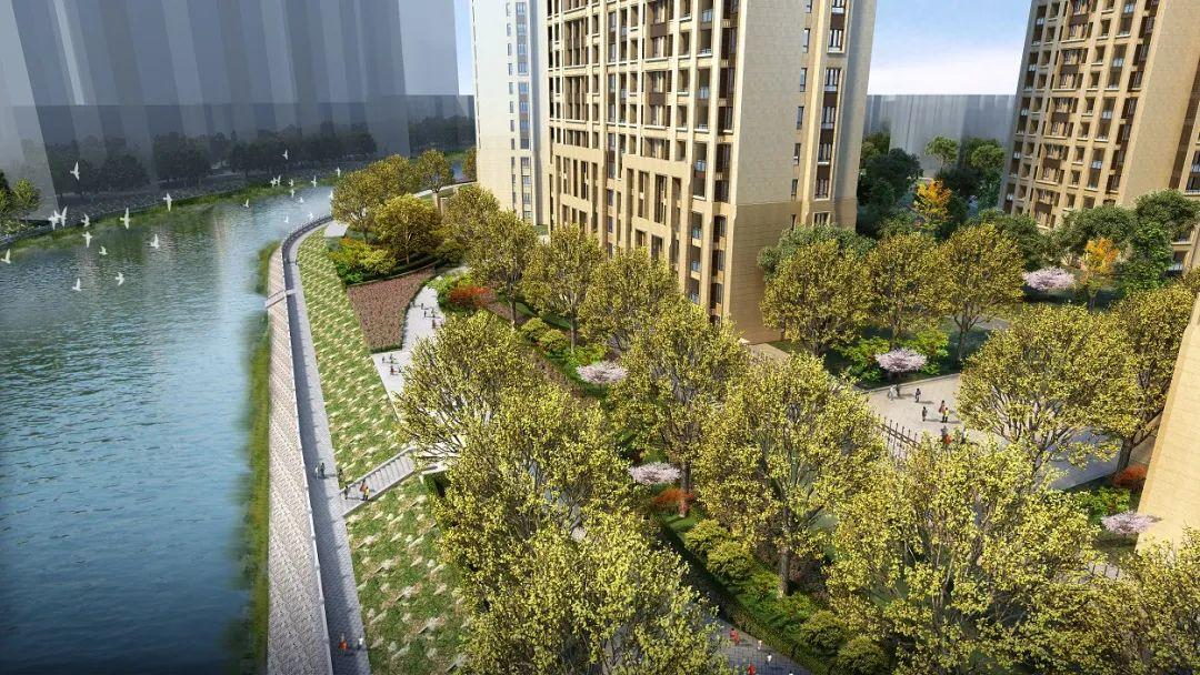 郑西鑫苑名家动态更新,从初学者到进阶用户的步骤指南