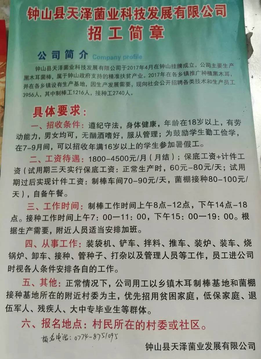 羊口镇最新招工信息及其背后的温馨故事