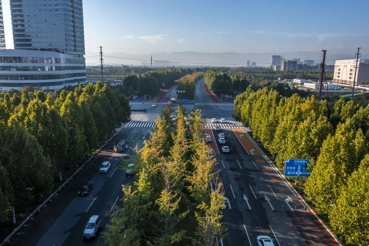 沣西新城繁荣蓝图揭秘,最新建设进展与消息速递
