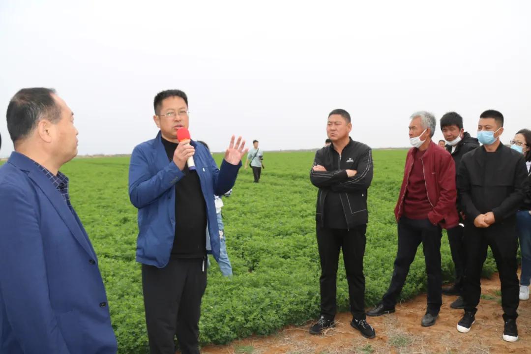 官方兽医改革最新动态更新,最新消息汇总