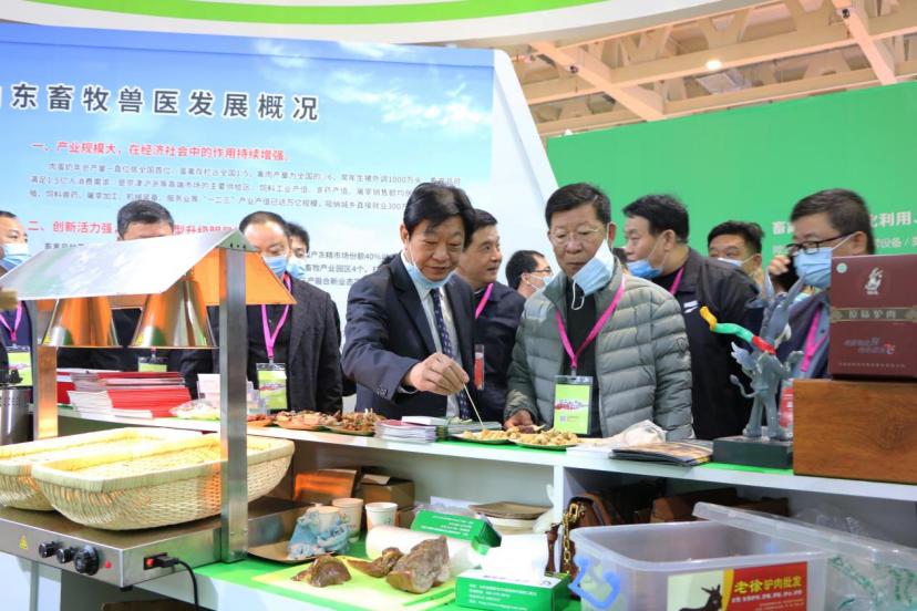 官方兽医改革最新动态更新,最新消息汇总