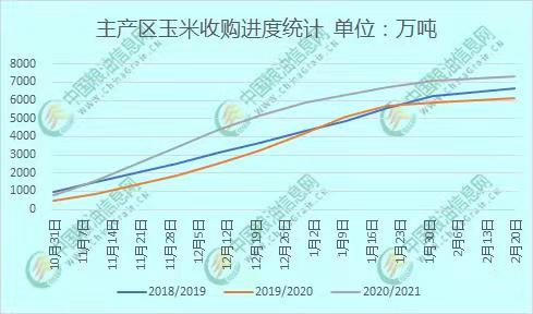 淄博玉米价格最新动态及分析,如何获取与分析行情信息