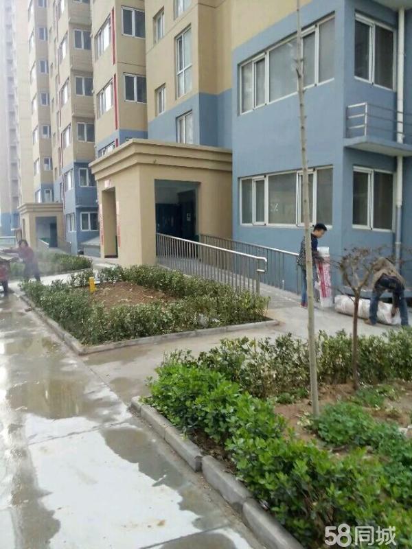 武安紫光花园最新动态更新