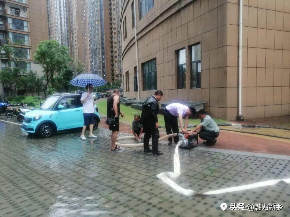 新乡常青藤最新动态，探索自然美景的轻松之旅