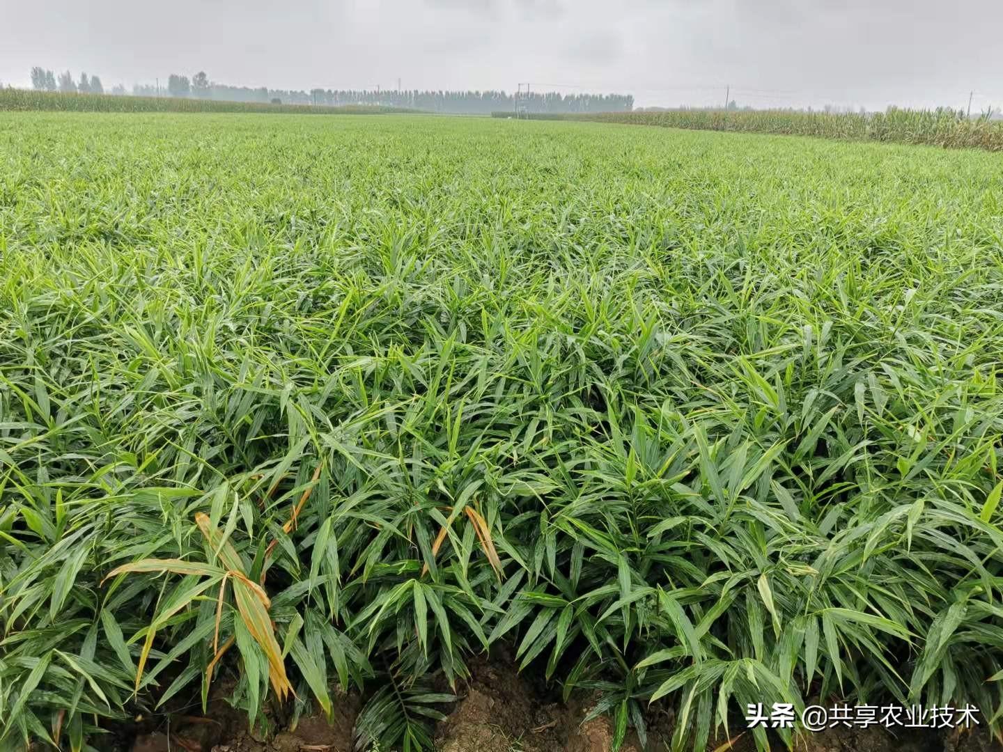 环保设备工程 第369页