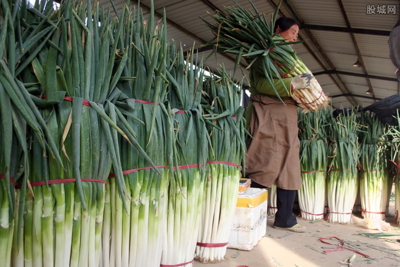 山东大葱价格行情变化中的学习,自信与成就感的源泉