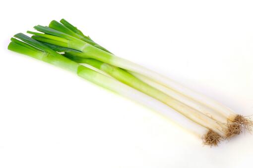 山东大葱价格行情变化中的学习,自信与成就感的源泉