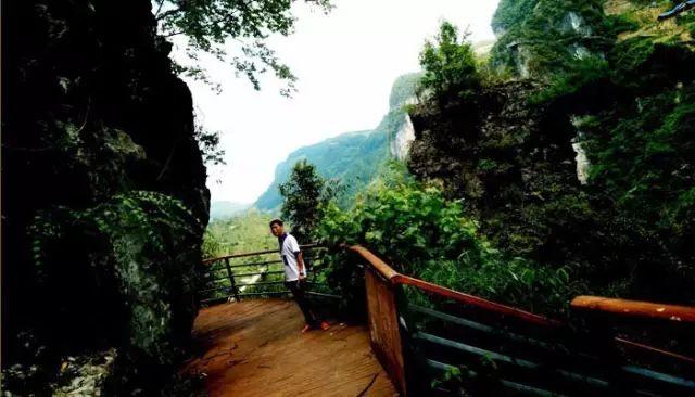 洋山河国际风景区最新探索，自然美景与内心平静的旅程