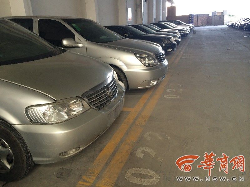 甘肃公车拍卖最新动态更新,公车拍卖消息速递