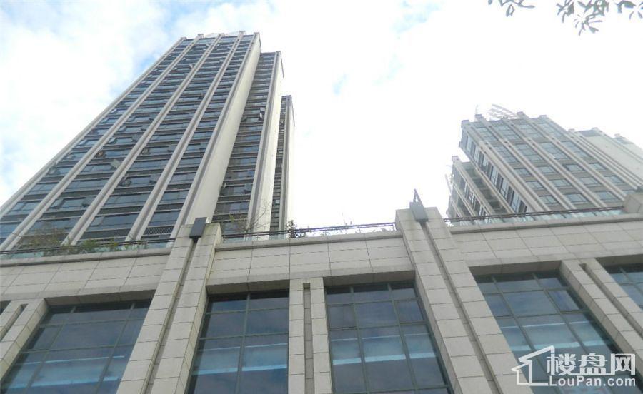 樊华广场最新动态,时代脉搏与都市荣光的交汇点