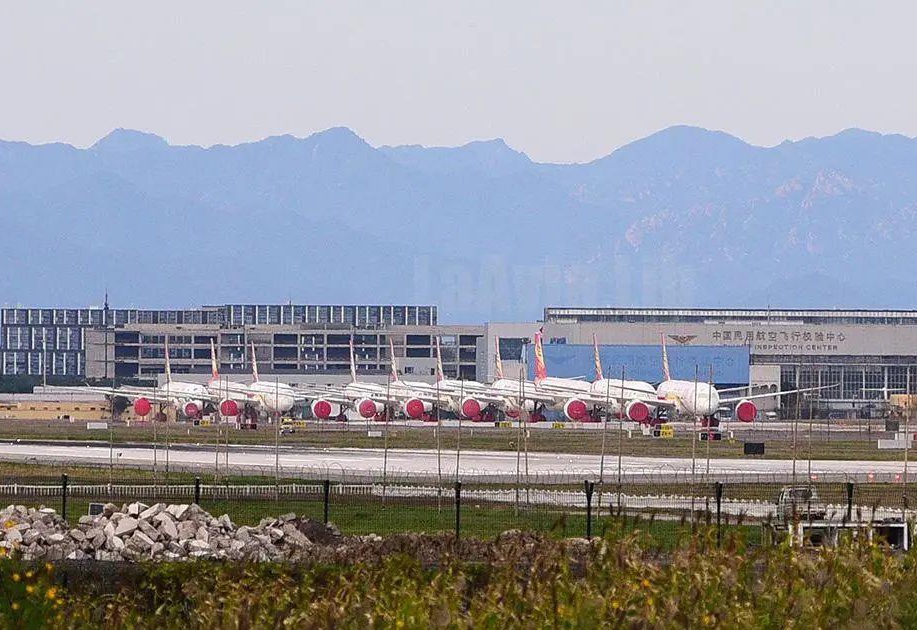 运城空港义乌最新动态揭秘,小巷深处的独特风味