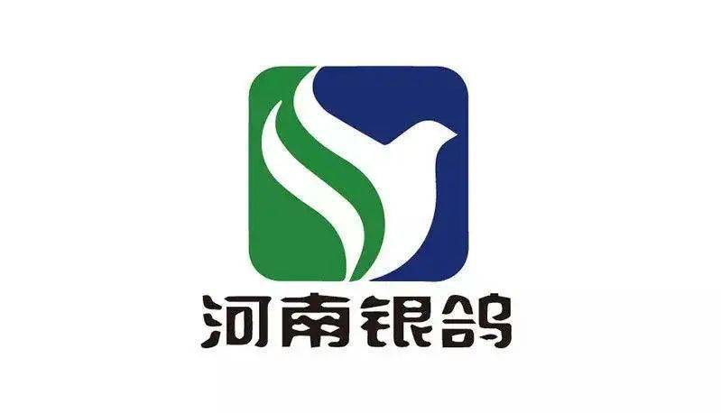 河南银鸽科技重塑生活，银羽展翅飞翔的最新动态