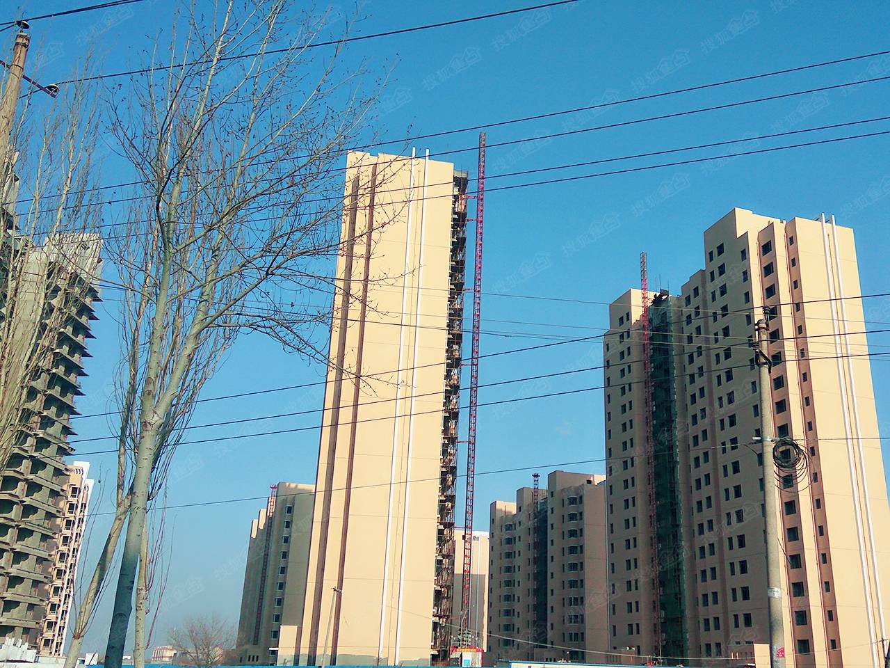 阳光宜居最新动态及相关论述揭秘