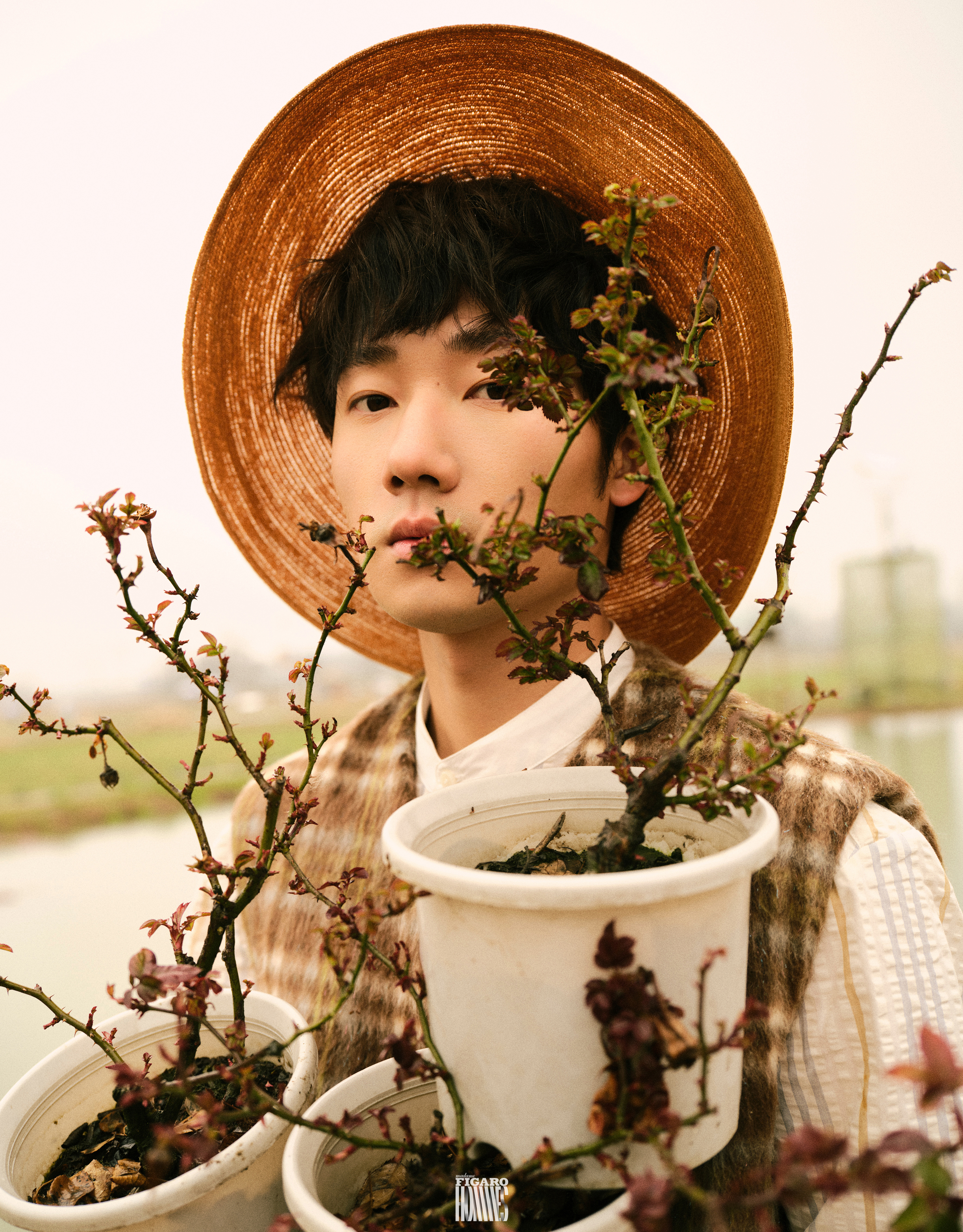 蒋敦豪微博最新动态，音乐之旅开启崭新篇章