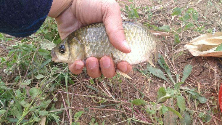 小斌斌挖眼最新消息,小斌斌挖眼最新消息,掌握挖掘技能的学习步骤指南