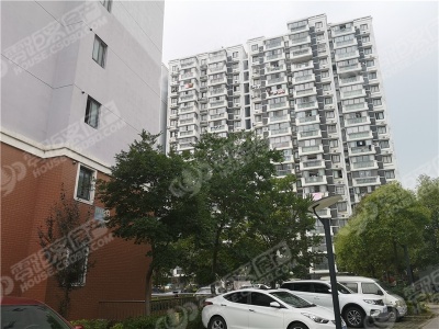 信一新都市房价动态,变化中的自信与成就感之源