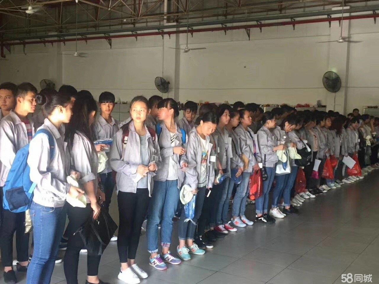 深圳彩丽电子厂最新招聘，引领科技潮流，开启智能生活新篇章之旅