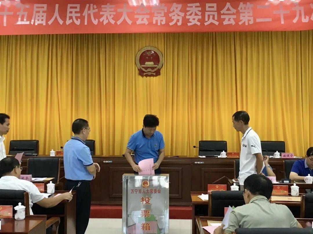 万宁市最新人事任免及其背后故事与小巷美食探索之旅