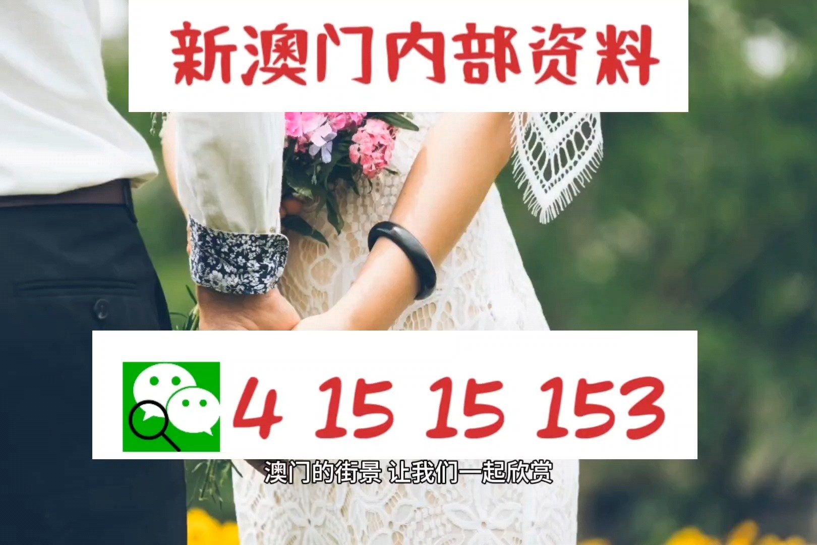 濠江论坛最精准的免费资料,專家解析意見_ZDA83.811强劲版