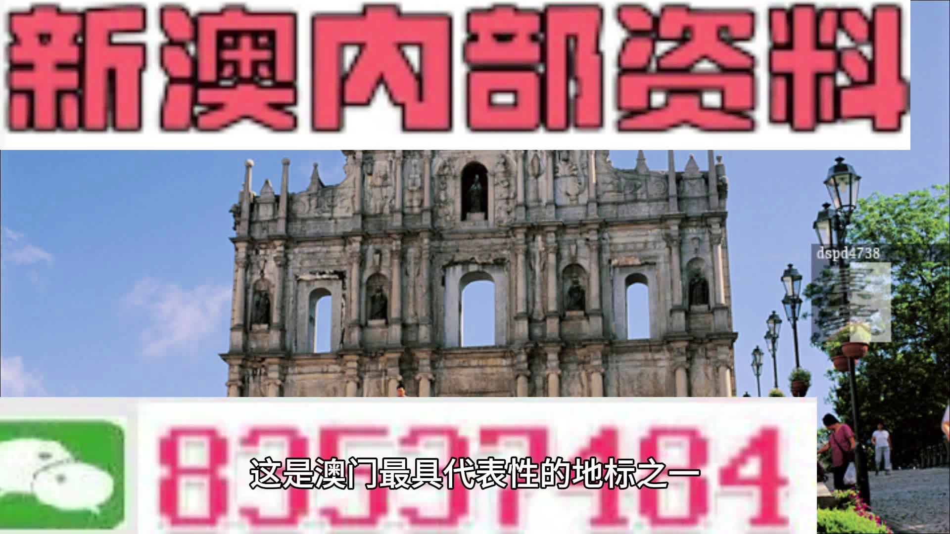 2024新澳精准资料免费提供网站,专业数据解释设想_FRY58.536掌中宝