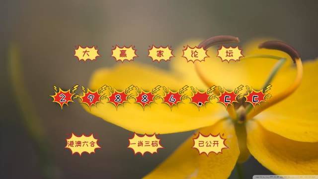 新澳门4949最新开奖记录,专业地调查详解_FYN9.741愉悦版