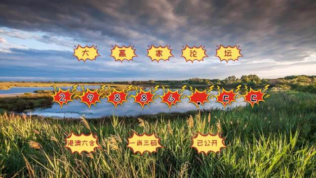 澳门蓝月亮精选一肖一码,创新策略执行_IZW83.349DIY版