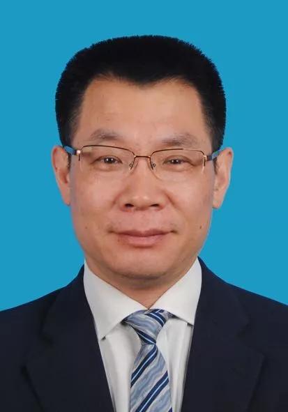 2024新奥资料免费,深入探讨方案策略_RZZ58.437安全版