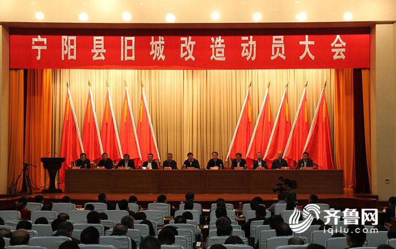 山东宁阳新闻最新消息概览,获取指南与动态更新