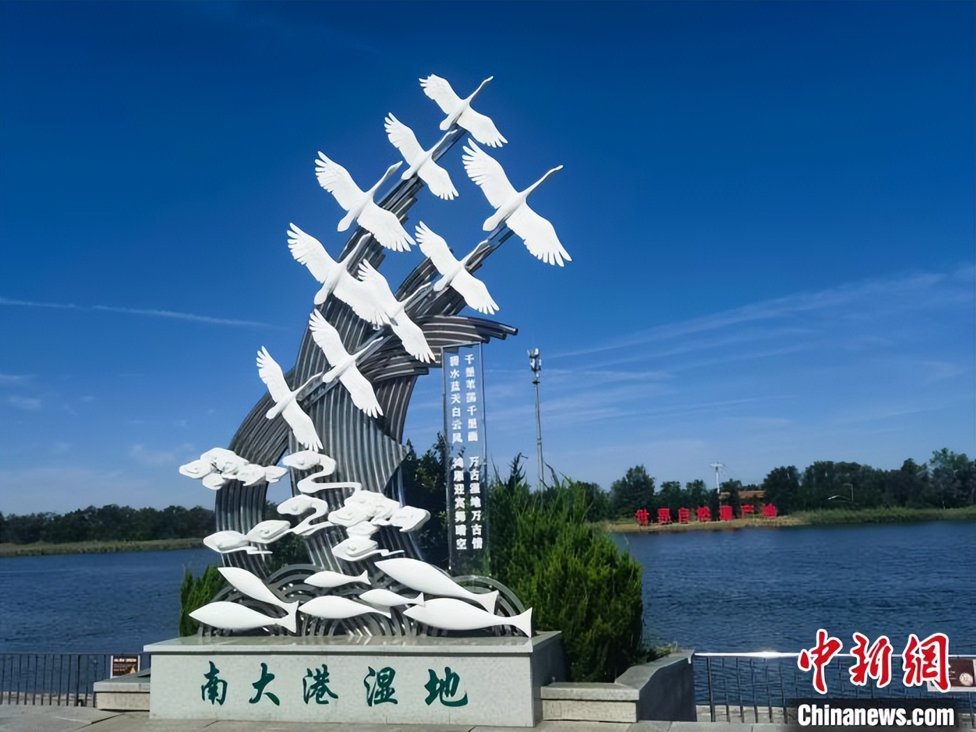 南大港贴吧科技新品来袭，智能生活体验前所未有