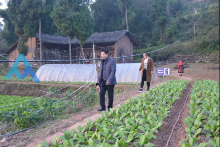 四川仪陇金城科技重塑未来生活体验新动态