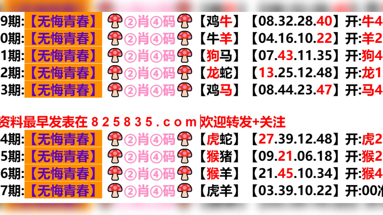新奥门六开奖结果2024开奖记录,科学数据解读分析_限定版31.581