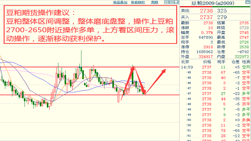 澳门平特一肖100%准确吗,数据引导执行策略_活动版32.209
