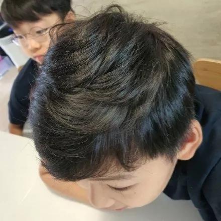 大韩民国万岁最新动态,大韩民国万岁最新动态,小巷中的独特风味探索