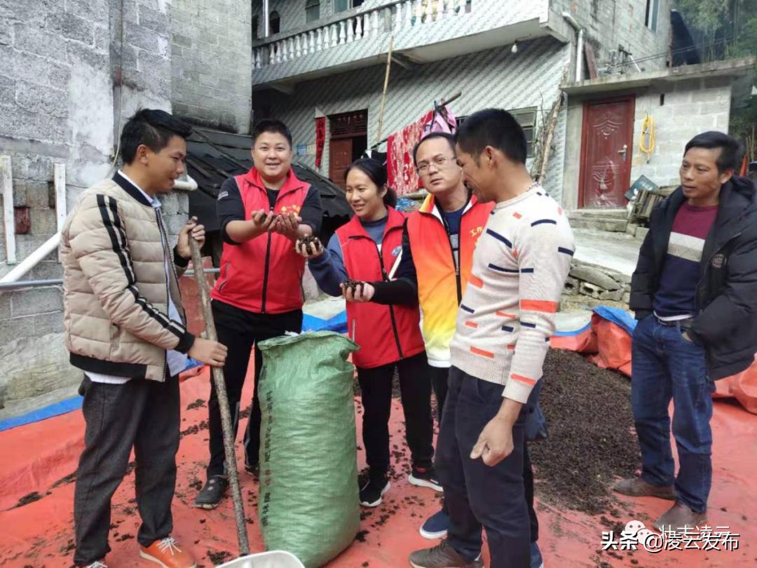 文明瑶族乡最新动态及其影响分析,一种观点探讨