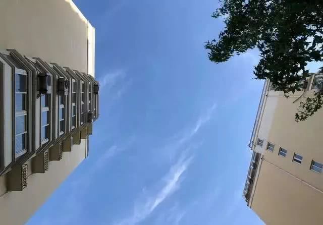 重庆银星集团最新动态揭秘,小巷中的隐藏宝藏!