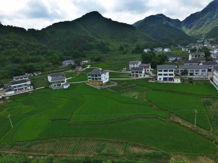 绥阳蒲场新篇章,巷弄风情与发展动态