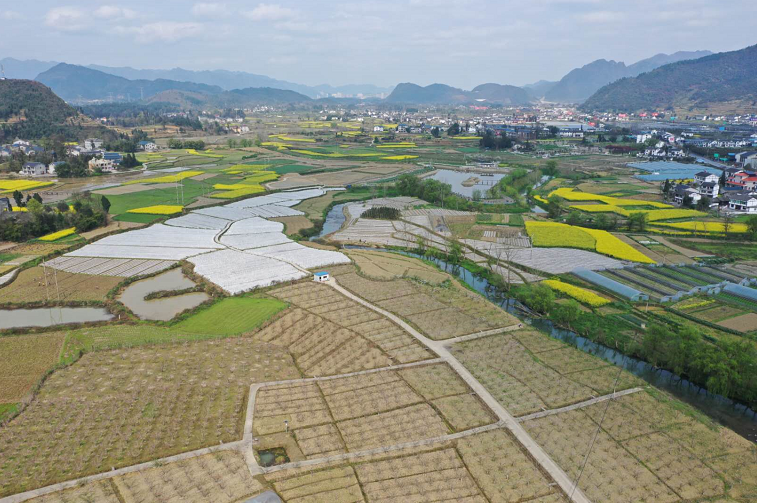 绥阳蒲场新篇章,巷弄风情与发展动态