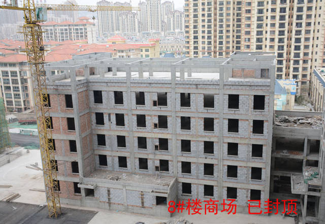 泰林黄河馨最新消息,夏日温馨故事揭秘