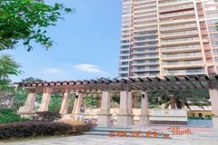 小榄榄悦轩最新动态,小巷中的美食秘境更新消息