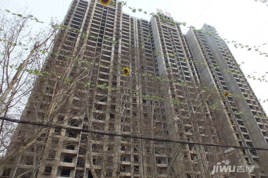 宜居畅苑最新动态揭秘,小巷中的意外惊喜